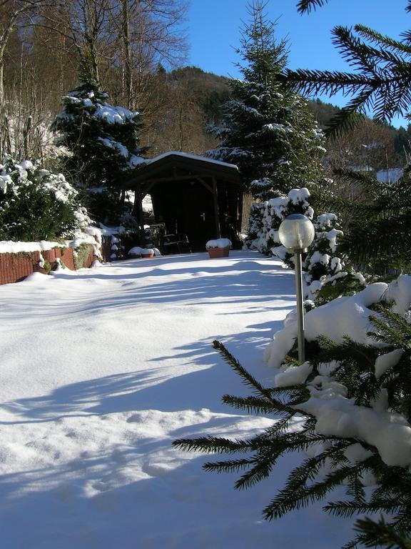 Aktivpension Regenbogen Willingen  Luaran gambar